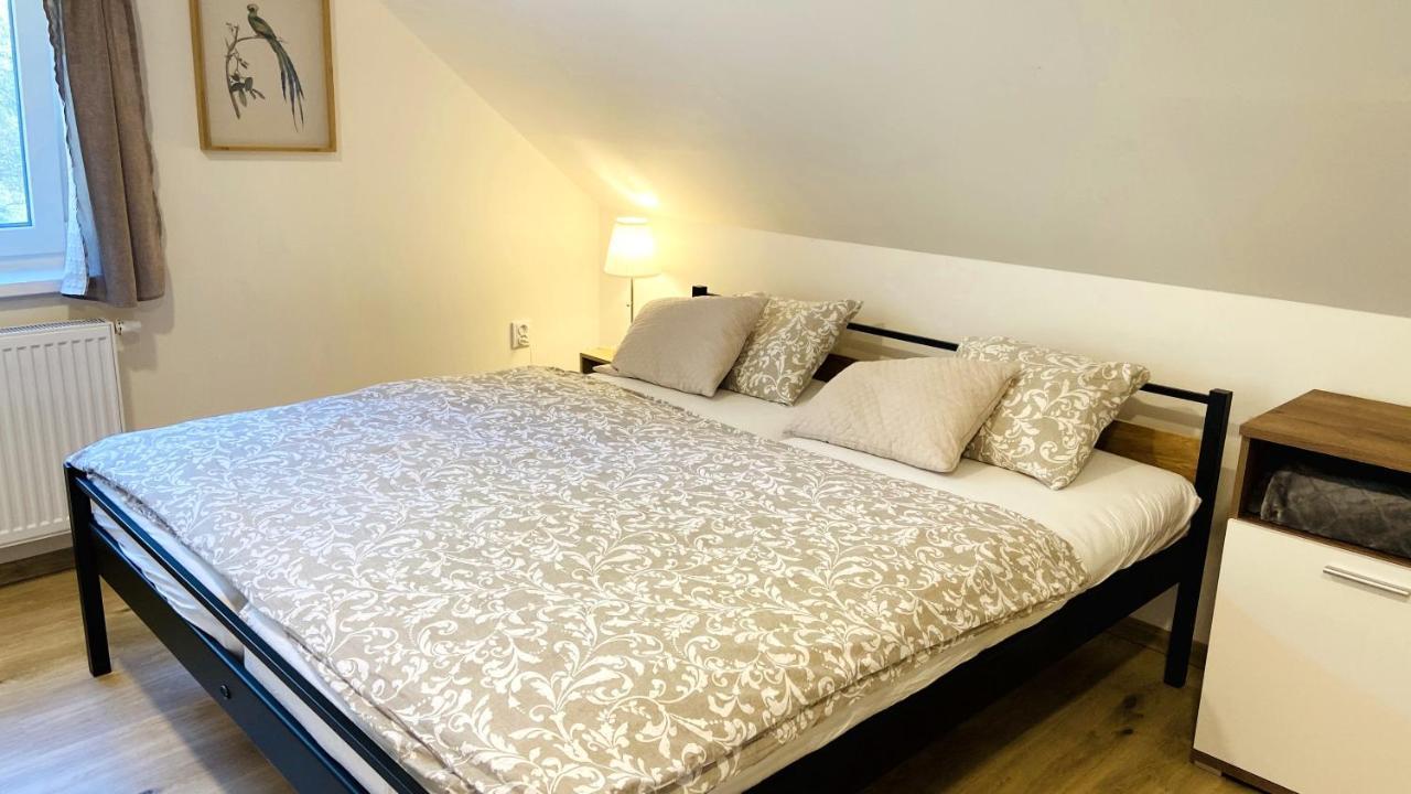 Apartmány u Bohumila Rybna nad Zdobnici Kültér fotó