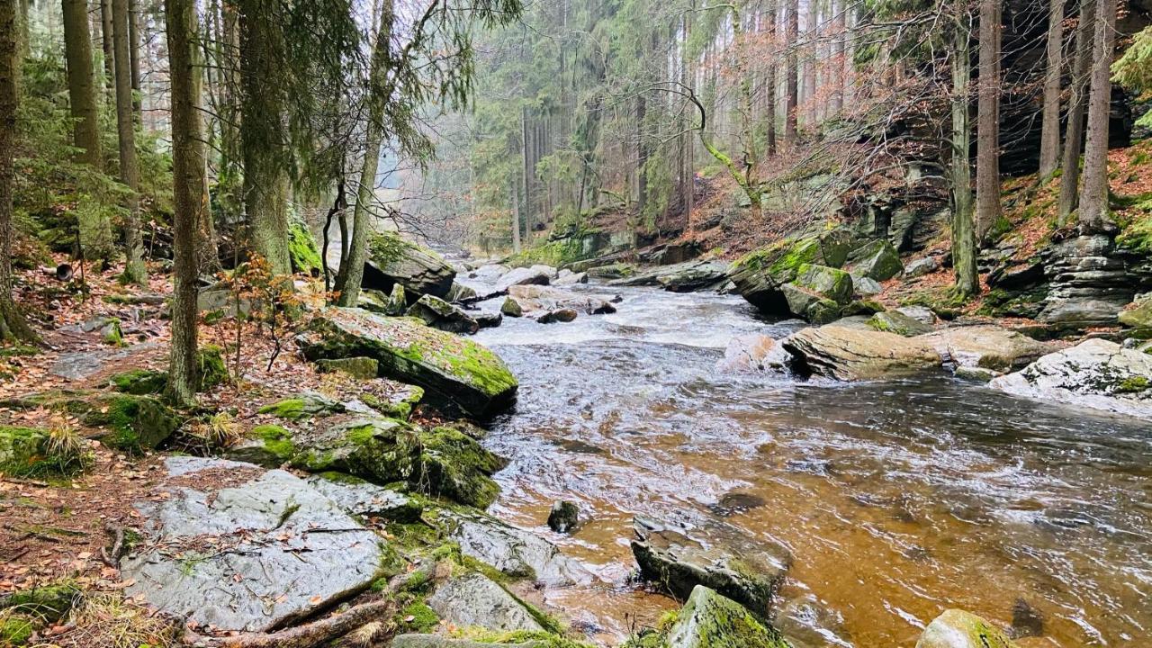 Apartmány u Bohumila Rybna nad Zdobnici Kültér fotó
